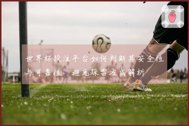 世界杯投注平台如何判断其安全性与可靠性，避免踩雷方式解析