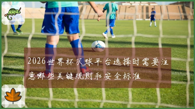 2026世界杯买球平台选择时需要注意哪些关键规则和安全标准